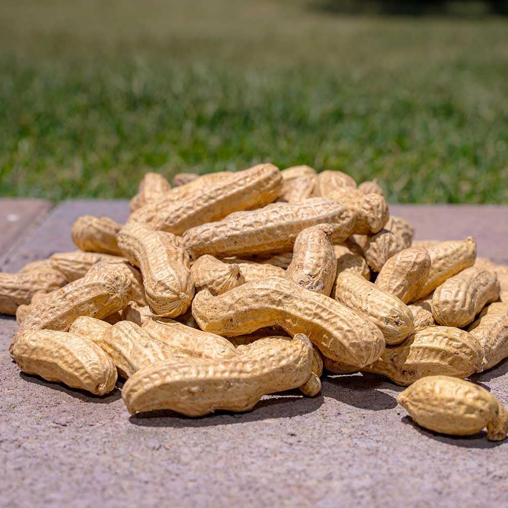 desert-valley-in-shell-peanuts-all-natur-2.jpg