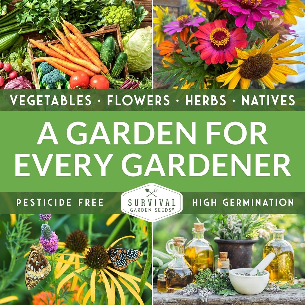 survival-garden-seeds---tiny-tim-tomato--6.jpg