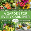 survival-garden-seeds---tiny-tim-tomato--6.jpg