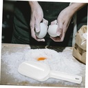 2pcs-plastic-ice-scoop-transparent-dried-2.jpg