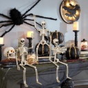 6-pcs-halloween-skeleton-decorations-16--4.jpg