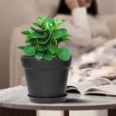 wousiwer-16-pack-6-inch-plastic-planters-5.jpg
