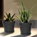 wousiwer-16-pack-6-inch-plastic-planters-6.jpg
