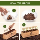 avergo-bonsai-tree-kit-for-beginners-5x--3.jpg
