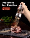 tomeem-upgraded-larger-capacity-electric-2.jpg