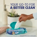 charmin-flushable-wipes-160-total-wipes--2.jpg