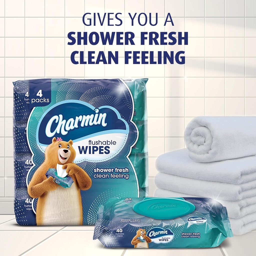 charmin-flushable-wipes-160-total-wipes--3.jpg