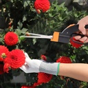 grass-shears-handheld-grass-clipper-cutt-3.jpg