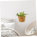 garlic-container-storage-wall-hanging-st-2.jpg