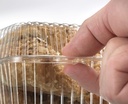 inline-plastics-ip-slp74-one-piece-conta-6.jpg