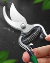 parrot-beak-garden-shears-55-high-carbon-5.jpg