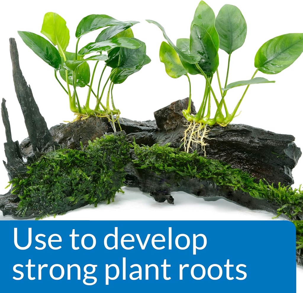 api-root-tabs-freshwater-aquarium-plant--2.jpg