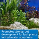 api-root-tabs-freshwater-aquarium-plant--4.jpg