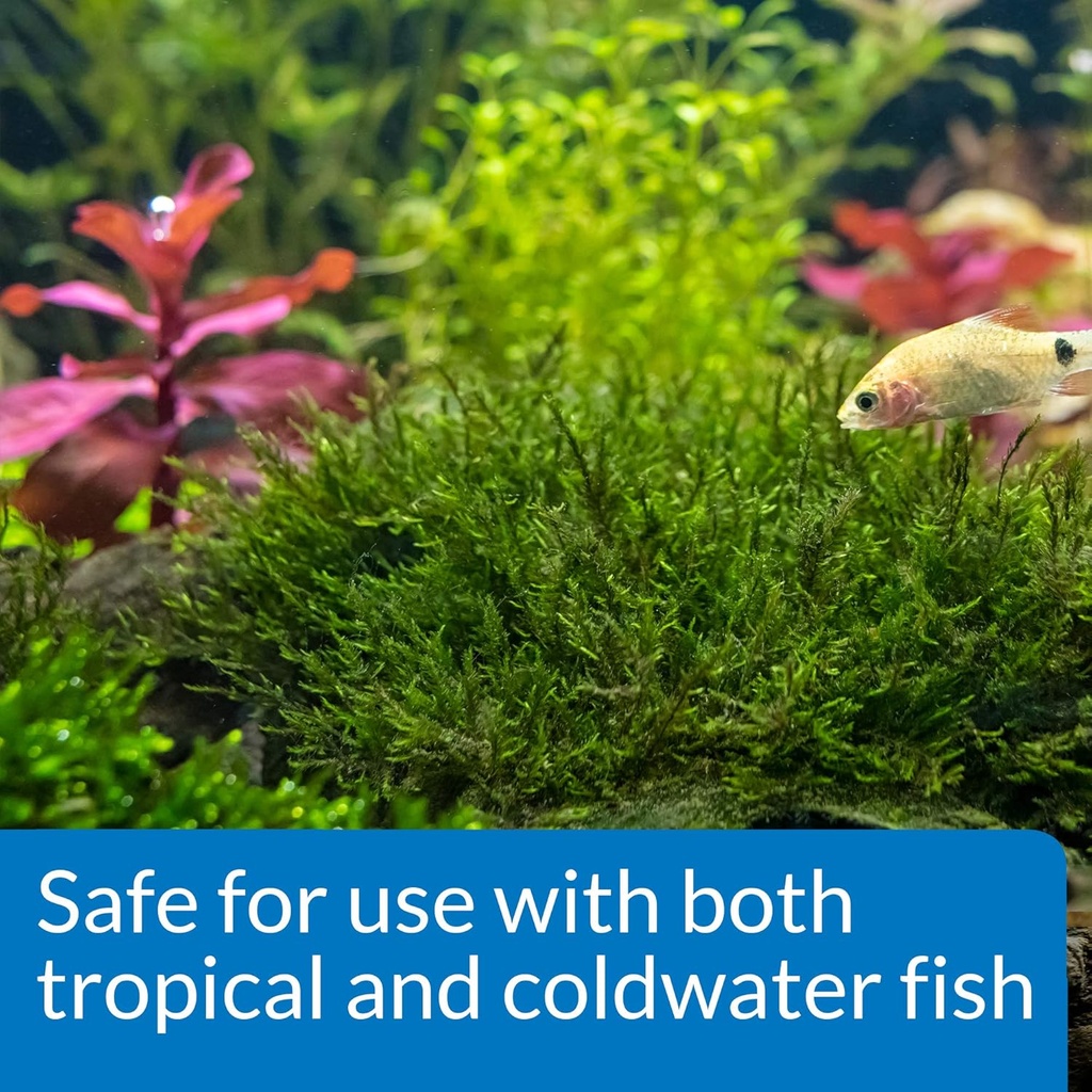 api-root-tabs-freshwater-aquarium-plant--5.jpg