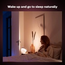 philips-hue-iris-smart-led-table-lamp-wh-6.jpg