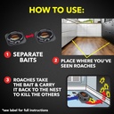 raid-double-control-small-roach-baits-ch-4.jpg
