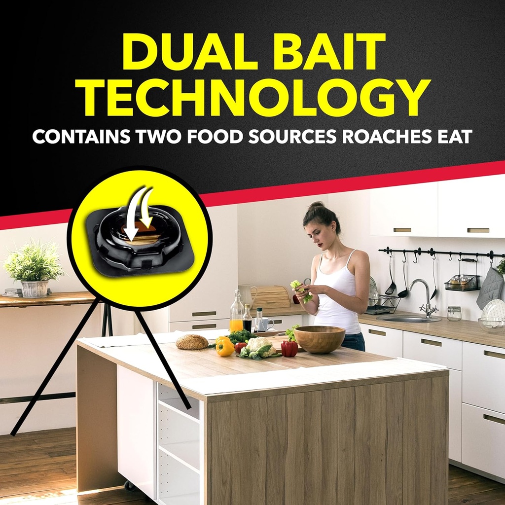 raid-double-control-small-roach-baits-ch-6.jpg