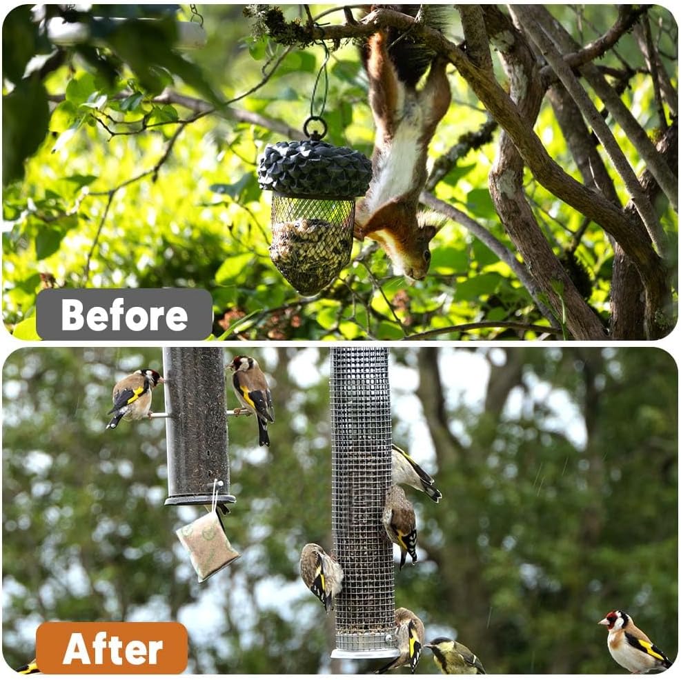 squirrel-repellent-keep-squirrels-out-of-5.jpg
