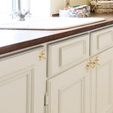 jojofuny-brass-deer-head-handle-cabinet--2.jpg