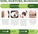 5-diy-bonsai-tree-kit-for-beginners-comp-4.jpg