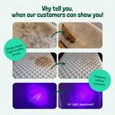 sunny-honey-carpet-shampoo-cleaning-solu-2.jpg