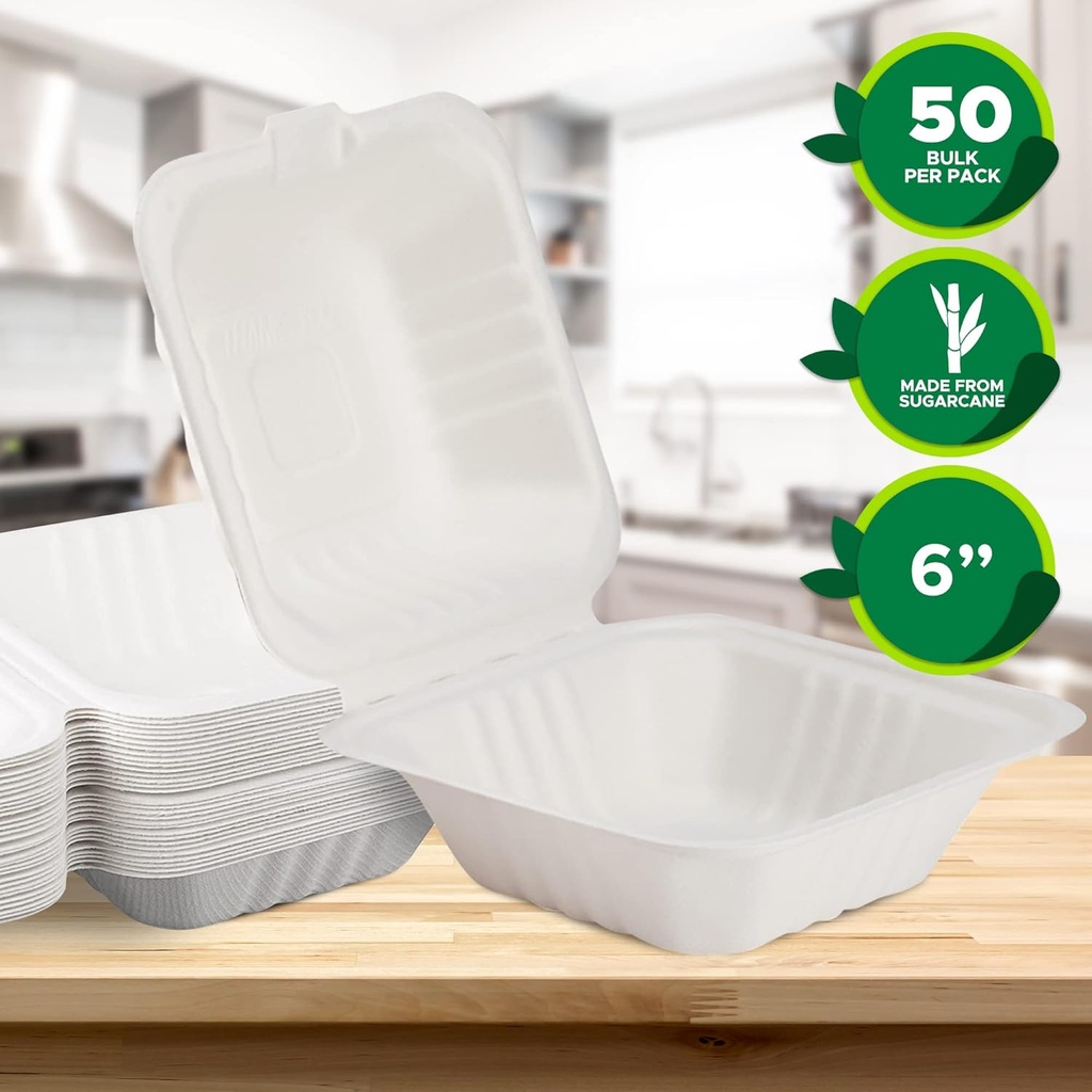 pami-50-pack-6x6-biodegradable-bento-box-3.jpg