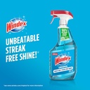 windex-glass-and-window-cleaner-spray-bo-2.jpg