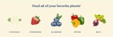true-organic-soil-acidifier-lowers-soil--2.jpg