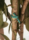 luster-leaf-868-0868-soft-stretch-tie-10-4.jpg