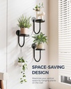 bamworld-hanging-planters-for-indoor-pla-2.jpg