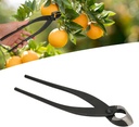 branch-cutter-gardening-tools-280mm-11in-2.jpg