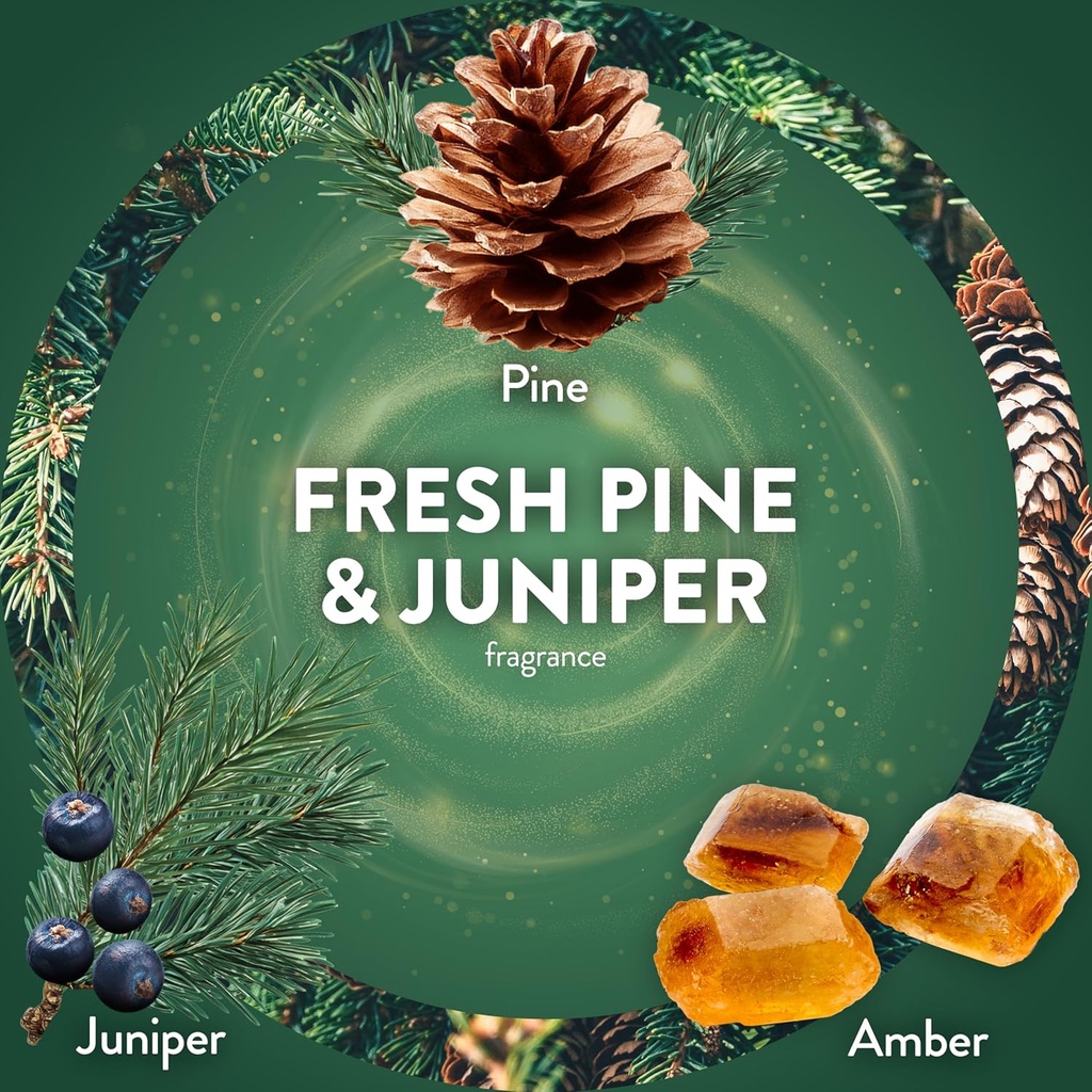 air-wick-scented-oils-02-fresh-pine-juni-4.jpg