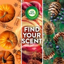 air-wick-scented-oils-02-fresh-pine-juni-6.jpg