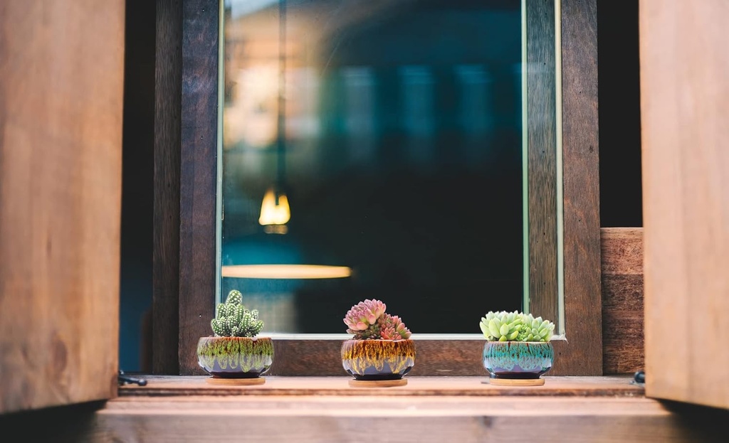 cute-ceramic-succulent-garden-pots-plant-2.jpg