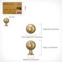 amerdeco-10-pack-champagne-bronze-cabine-6.jpg