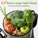 cold-press-juicer-53-wide-feed-chute-jui-2.jpg