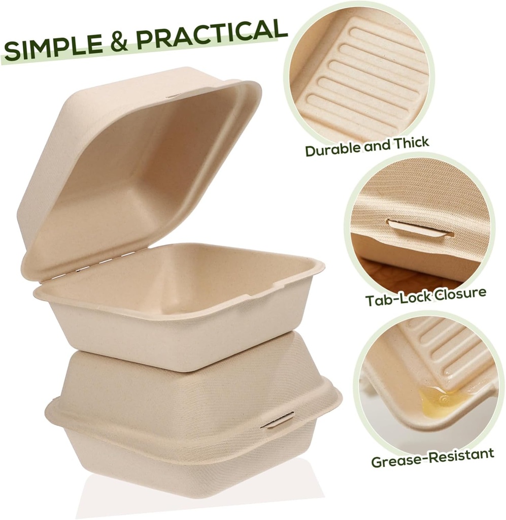 30pcs-eco-friendly-pulp-lunch-boxes-chin-6.jpg