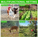 windyun-2-pcs-bird-netting-bird-net-chic-4.jpg