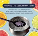 the-original-lucky-iron-fish-an-iron-sup-2.jpg