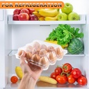 standard-plastic-egg-carton-100-pack-of--6.jpg
