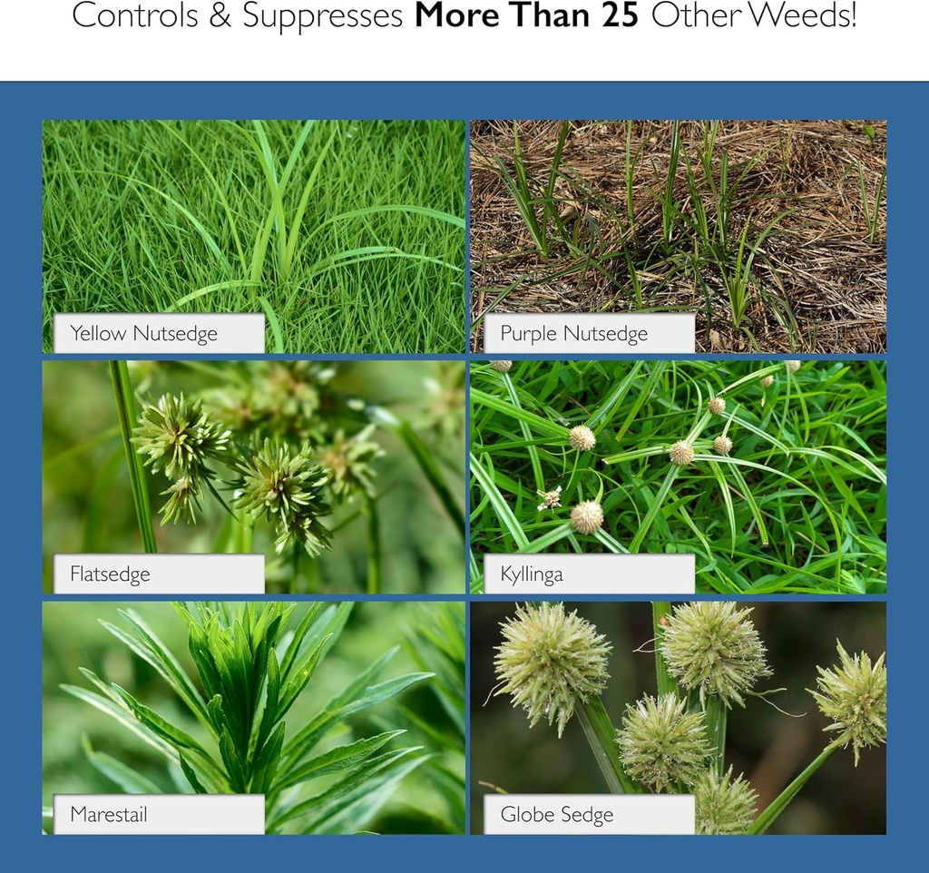 plus-turf-herbicide---1-pack-of-135-gram-3.jpg