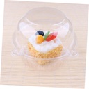 pretyzoom-100pcs-individual-cupcake-boxe-5.jpg