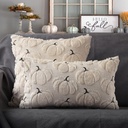 4th-emotion-fall-pumpkins-decorative-pil-4.jpg