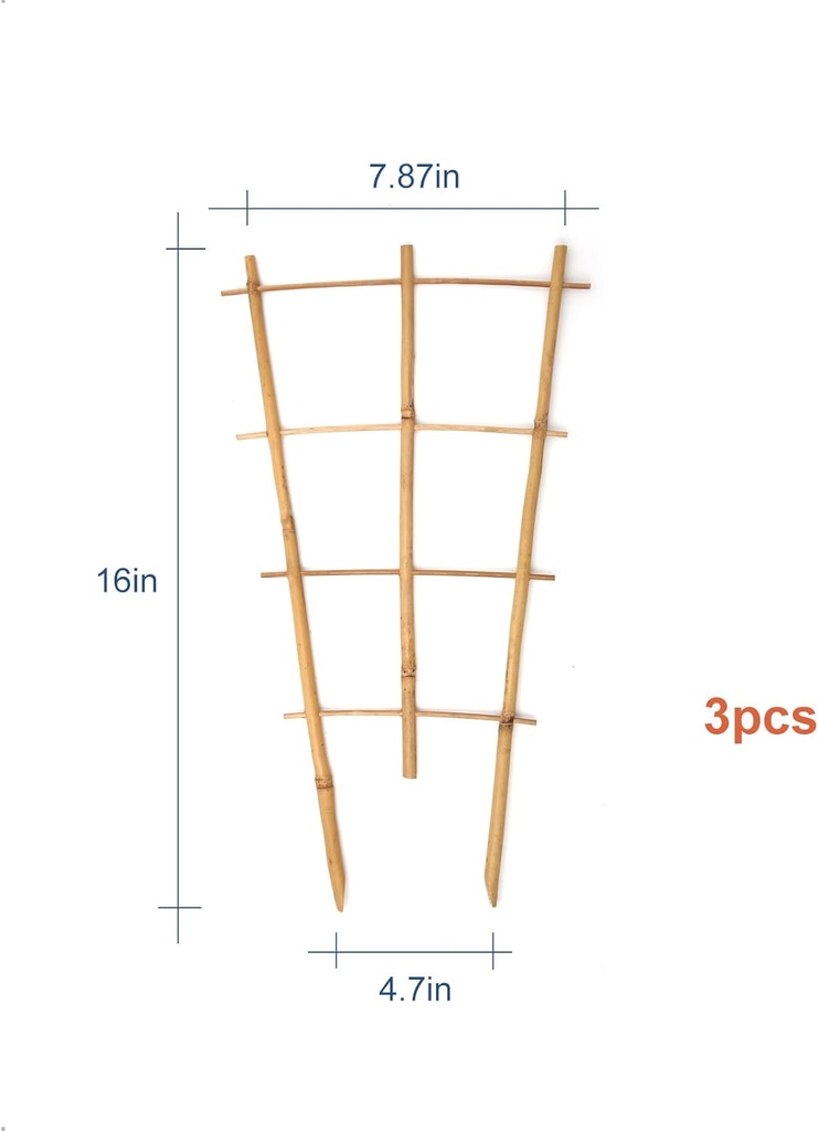 3pack-bamboo-trellis-16-inch-fan-shaped--3.jpg
