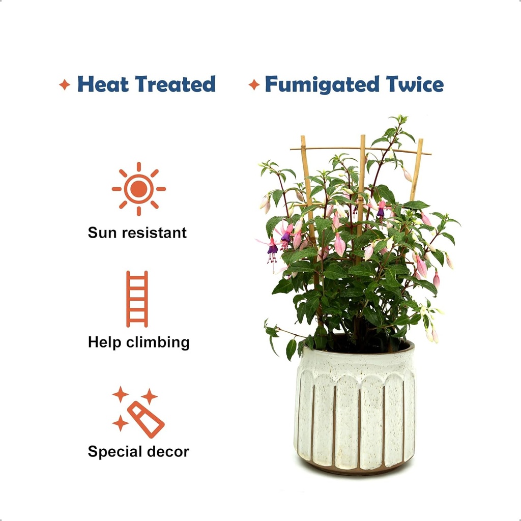 3pack-bamboo-trellis-16-inch-fan-shaped--4.jpg