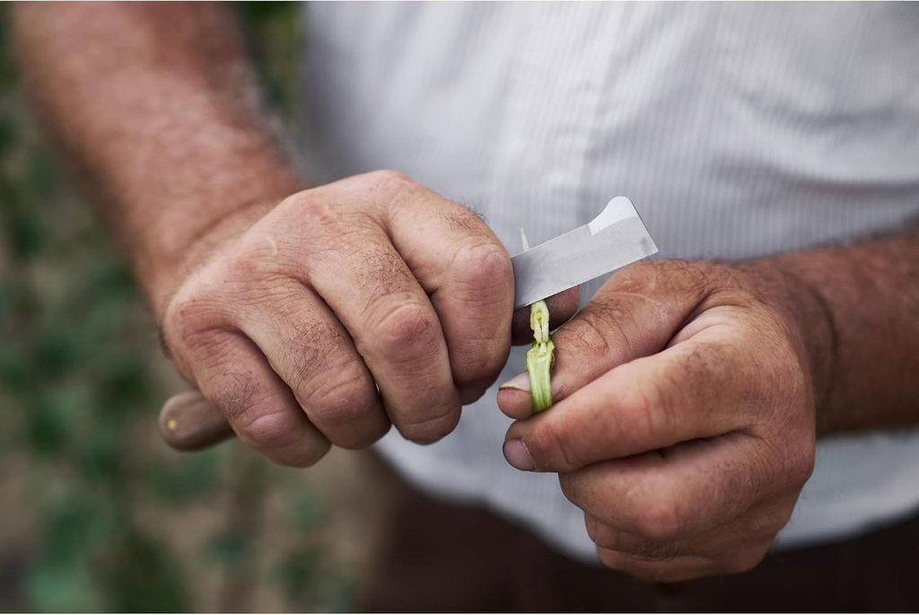 felco-budding-and-grafting-knife-3.jpg