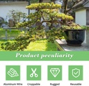 loqjss-4-roll-bonsai-wirebonsai-training-4.jpg