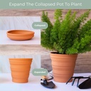 collapsible-silicone-planting-pot-flexpo-2.jpg