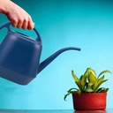 fasmov-plastic-watering-can-blue-1-gallo-5.jpg