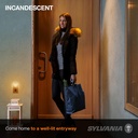 sylvania-incandescent-light-bulb-c7-4w-c-5.jpg